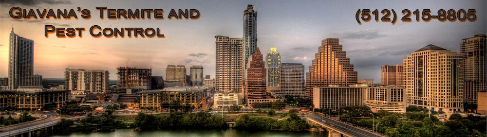 Pat Arbuckle Electrical Banner